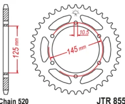 JT Zębatka Tylna JTR855 rozmiar 520